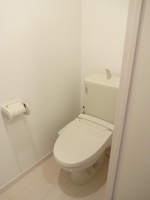 Toilet. Washlet toilet.