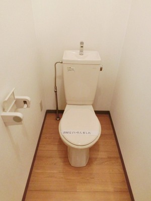 Toilet. I toilets are simple.