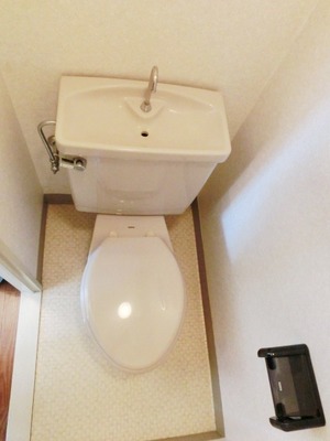 Toilet. I toilets are simple.