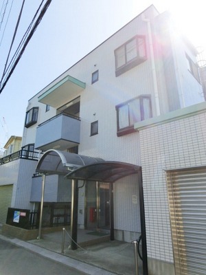 Building appearance. This apartment with auto-lock.