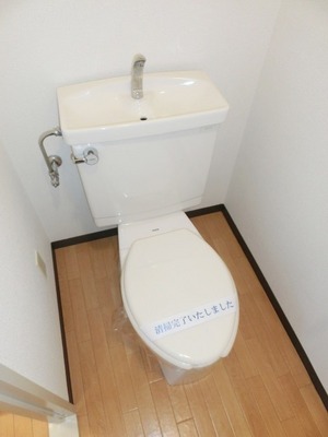 Toilet. Toilet