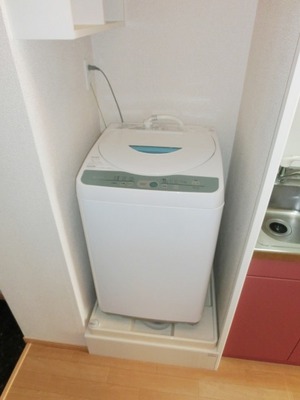 Washroom. Indoor Laundry Storage