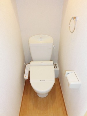 Toilet. Toilet with warm water washing toilet seat