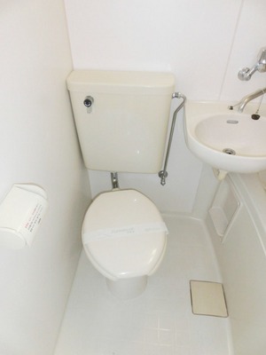 Toilet. It is a simple toilet.