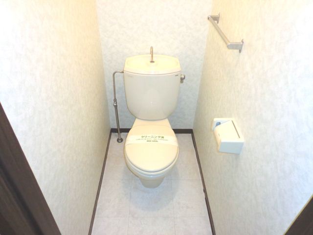 Toilet. Western-style toilet