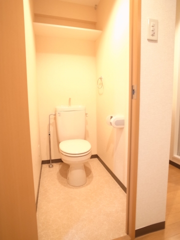 Toilet. Convenient with storage shelf in toilet! I know! !