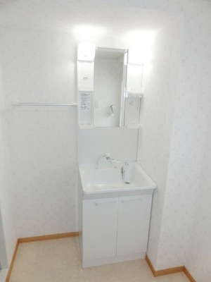 Washroom. Cosmetic washbasin