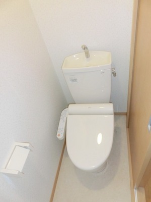 Toilet. It comes with a bidet.