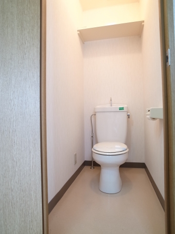 Toilet. Convenient shelf with a toilet! It has been found (* ^ - ^)