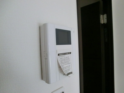 Security. TV monitor with intercom