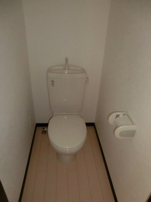 Toilet. Toilet