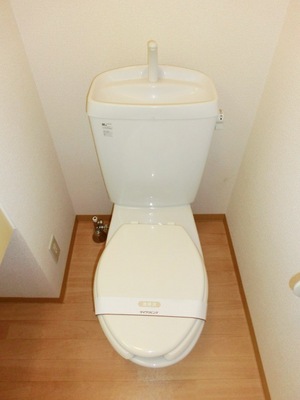 Toilet. I toilets are simple.