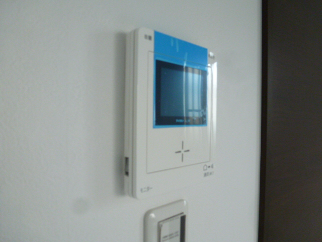 Security. Monitor with intercom