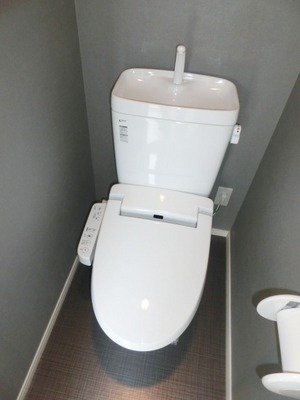 Toilet. Toilet with warm water washing toilet seat