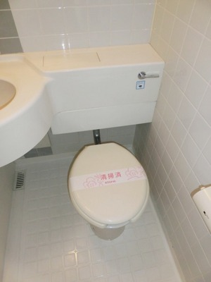 Toilet. Toilet