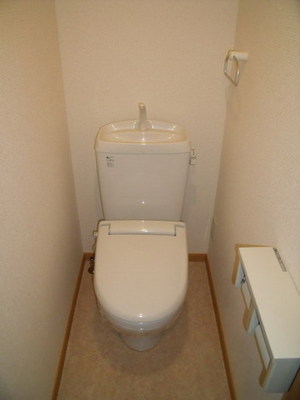 Toilet. Warm toilet seat with toilet