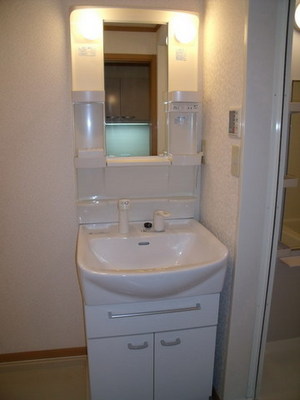 Washroom. Shampoo dresser