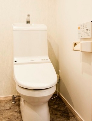 Toilet. Bidet