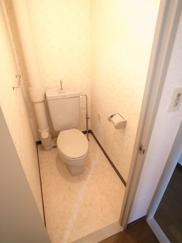 Toilet. It is a photograph of the same building another room (110 Room No.)