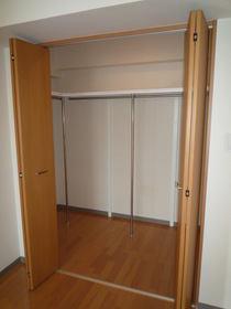 Other. A must-see one with a lot of luggage! Walk-in closet with! 