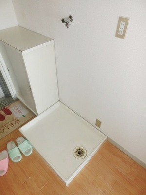 Washroom. Indoor Laundry Storage