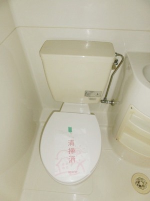 Toilet. Toilet