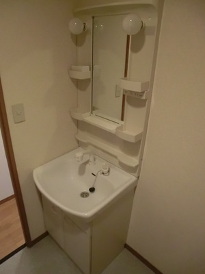 Washroom. Independent wash basin with a shampoo dresser