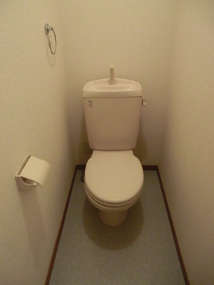 Toilet. Standard toilets