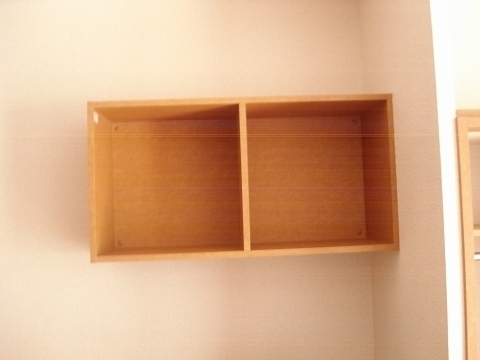 Other. There is also a storage shelf