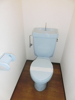 Toilet. Toilet