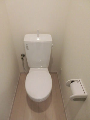 Toilet. Standard toilets