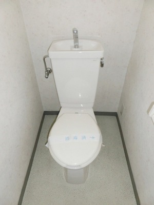 Toilet. Standard toilets