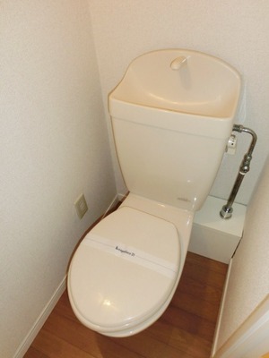 Toilet. Toilet