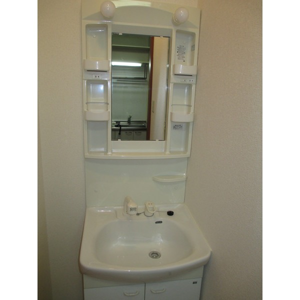 Washroom. Shampoo dresser