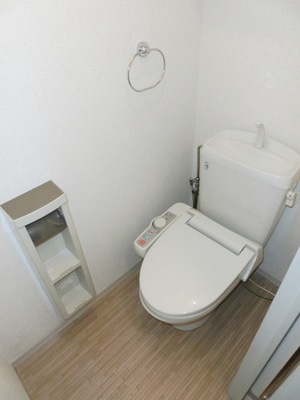 Toilet. Toilet with warm water washing toilet seat