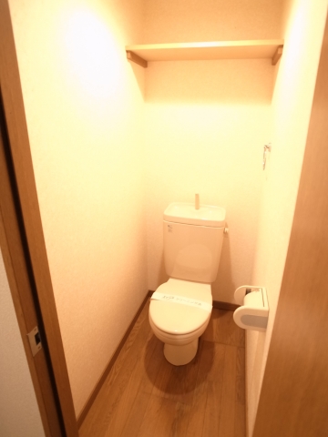 Toilet. The photograph is in a separate room the same building
