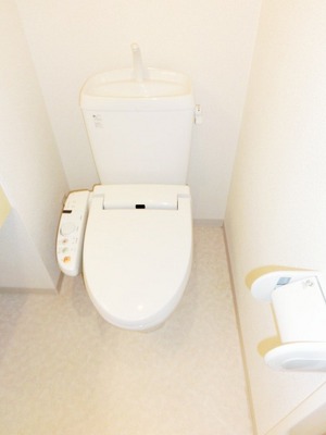 Toilet. Simple toilet.