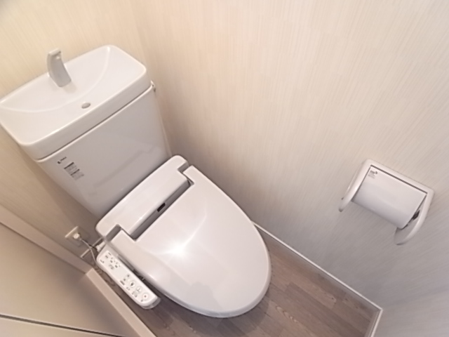 Toilet. Toilet with bidet.