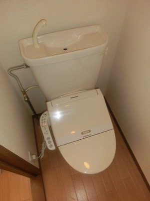 Toilet. Toilet with warm water washing toilet seat.