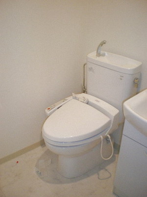 Toilet. Clean, cleaning toilet seat