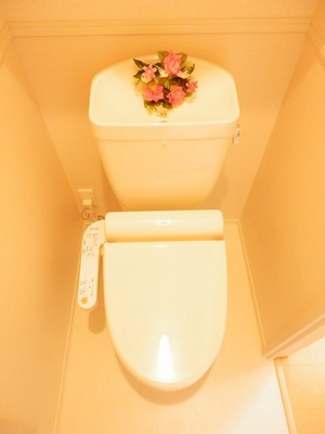 Toilet. It is a toilet with a hot-water washing heating toilet seat.