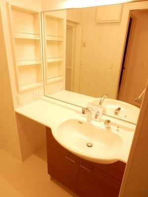 Washroom. Glad shampoo dresser in a busy morning. You can clean and accommodated