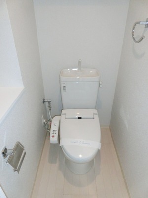 Toilet. It is with cleaning function.