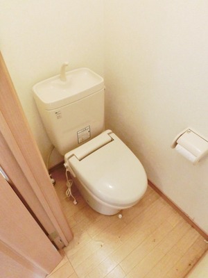 Toilet. I toilets are simple.