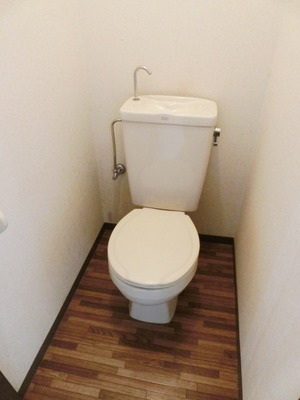 Toilet. I toilets are simple.