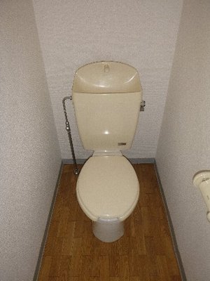 Toilet. Toilet with cleanliness