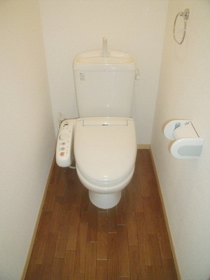 Toilet. With washer toilet