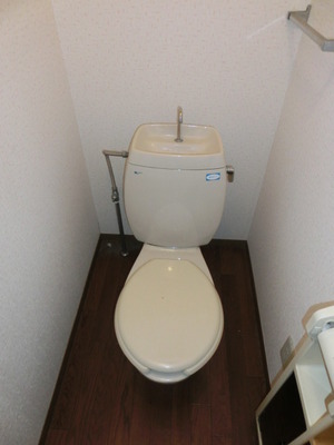 Toilet. Toilet