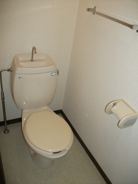 Toilet. Independent type of toilet