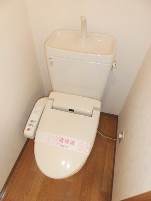 Toilet. Toilet with warm water washing toilet seat